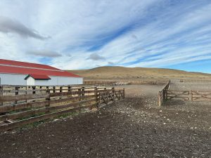 Garay recorrió la estancia y cabaña Cóndor para analizar desafíos del sector ovino