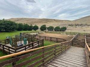 Garay recorrió la estancia y cabaña Cóndor para analizar desafíos del sector ovino