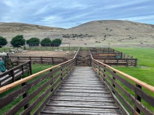 Garay recorrió la estancia y cabaña Cóndor para analizar desafíos del sector ovino
