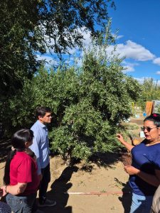 El CAP acompaña a productores vitivinícolas de Caleta Olivia