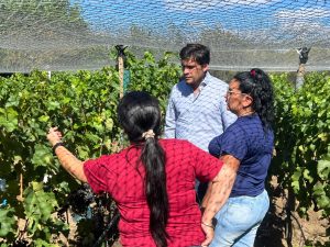 El CAP acompaña a productores vitivinícolas de Caleta Olivia