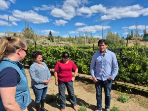 Avanza el proyecto del viñedo en Caleta Olivia