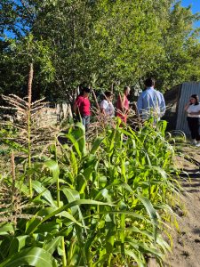 Consejo Agrario: Se realizó recorrida en una chacra productiva de Caleta Olivia