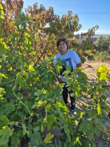 Consejo Agrario: Se realizó recorrida en una chacra productiva de Caleta Olivia