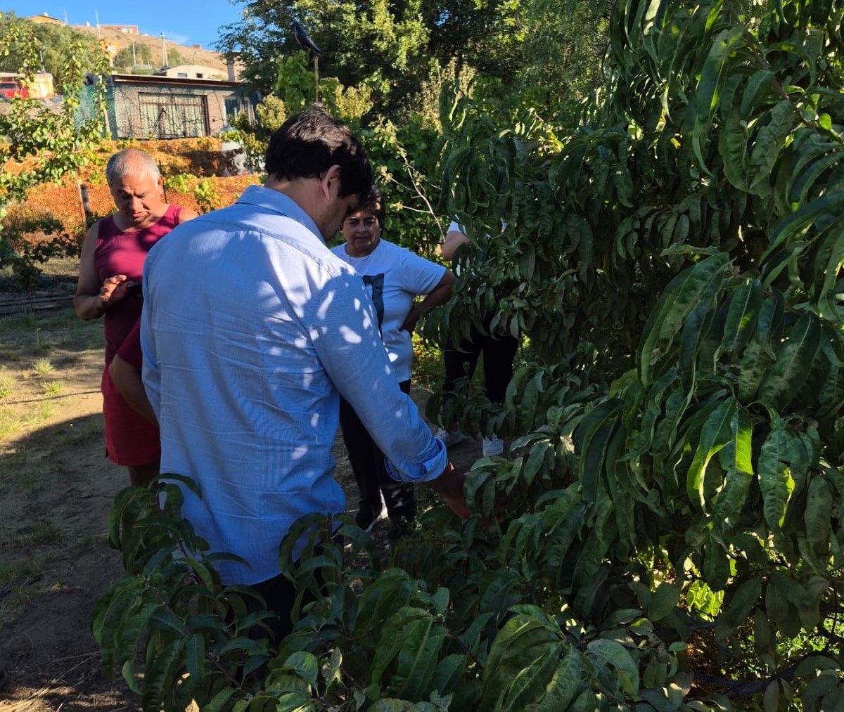 Consejo Agrario: Se realizó recorrida en una chacra productiva de Caleta Olivia