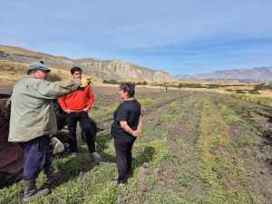 Los Antiguos: El Álamo es una chacra familiar que crece con trabajo y producción