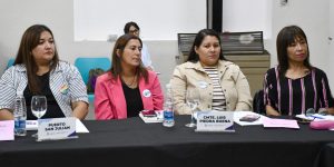 Se llevó a cabo el Primer Consejo Provincial de Mujeres y Diversidades en Los Antiguos