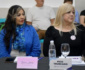 Se llevó a cabo el Primer Consejo Provincial de Mujeres y Diversidades en Los Antiguos