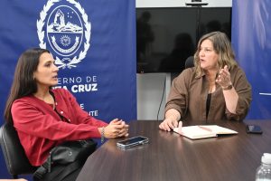 Ross coordinó acciones sanitarias con Concejales de Río Gallegos