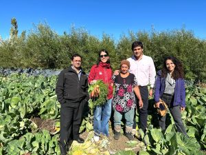 Fortalecen la producción hortícola familiar de la provincia