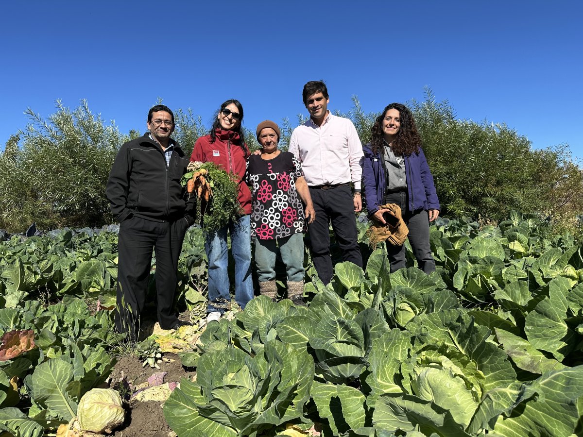 Fortalecen la producción hortícola familiar de la provincia