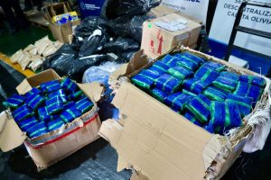 Santa Cruz realizó la mayor quema de droga de los últimos años: 267 kilos destruidos