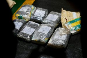 Santa Cruz realizó la mayor quema de droga de los últimos años: 267 kilos destruidos