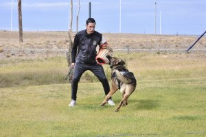 #SomosElEstado: Humano y can conforman un sólido equipo de seguridad