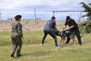 #SomosElEstado: Humano y can conforman un sólido equipo de seguridad