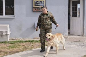 #SomosElEstado: Humano y can conforman un sólido equipo de seguridad