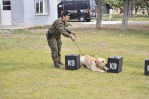 #SomosElEstado: Humano y can conforman un sólido equipo de seguridad
