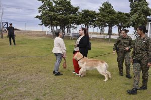 #SomosElEstado: Humano y can conforman un sólido equipo de seguridad