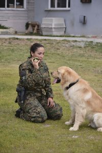 #SomosElEstado: Humano y can conforman un sólido equipo de seguridad