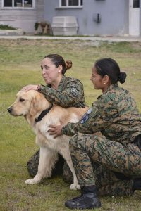 #SomosElEstado: Humano y can conforman un sólido equipo de seguridad