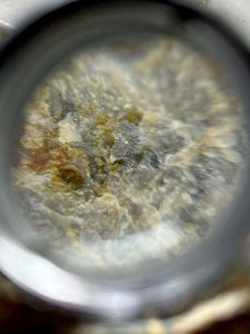 Constatan oro visible durante inspección en el proyecto Las Mellizas