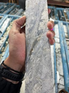 Constatan oro visible durante inspección en el proyecto Las Mellizas