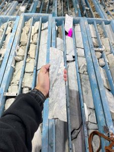 Constatan oro visible durante inspección en el proyecto Las Mellizas