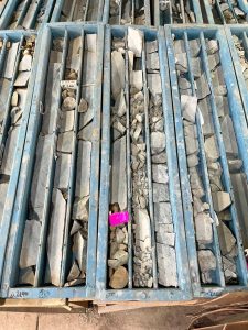 Constatan oro visible durante inspección en el proyecto Las Mellizas