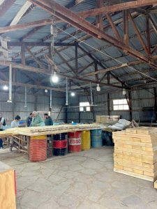 Constatan oro visible durante inspección en el proyecto Las Mellizas