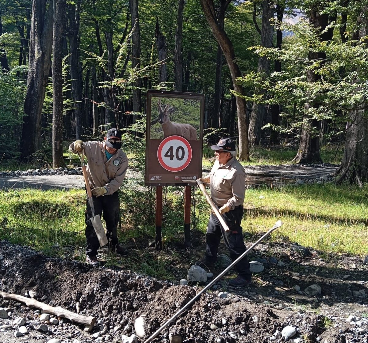 Se inició la instalación de nueva cartelería en la Reserva Provincial Lago del Desierto
