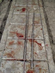 Operativo conjunto contra la pesca ilegal en Santa Cruz