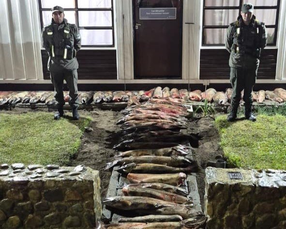 Operativo conjunto contra la pesca ilegal en Santa Cruz