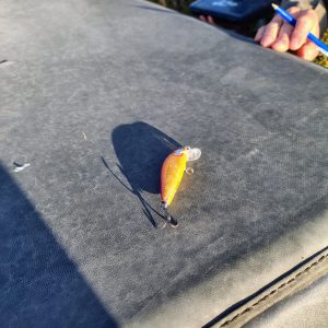 Operativos en el río Jeinimeni: Provincia y Gendarmería intensifican controles y  sancionan la pesca ilegal