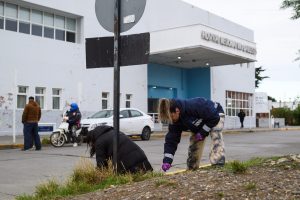Jornada intersectorial: Provincia y organizaciones pusieron en valor el predio del Hospital de Río Gallegos