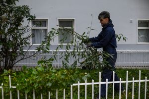 Equipos ministeriales recuperaron espacios públicos y áreas externas del HRRG