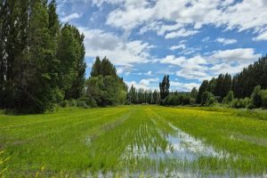 Gobernador Gregores celebra su 104° aniversario con obras, viviendas y mejoras en servicios impulsadas por Vidal