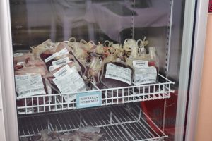 #SomosElEstado: Conocer, donar y salvar vidas desde el sistema de salud de Santa Cruz