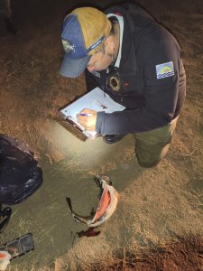 Producción fortalece controles en zonas de pesca deportiva