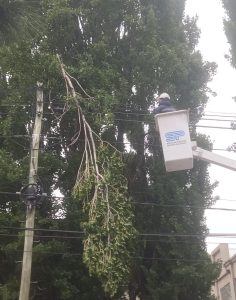 Inclemencias del tiempo: Servicios Públicos refuerza el mantenimiento de redes eléctricas