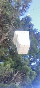 Servicios Públicos atendió más de 100 reclamos durante el temporal y avanza con la normalización del servicio