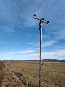 Servicios Públicos atendió más de 100 reclamos durante el temporal y avanza con la normalización del servicio
