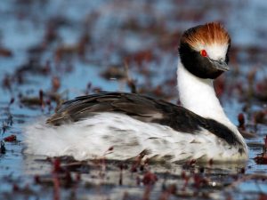 Destacan en Santa Cruz un modelo de gestión hídrica minera basado en eficiencia y control ambiental