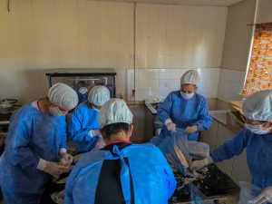 Semana Santa: El Gobierno de Santa Cruz comenzó la entrega de 40 mil kilos de merluza en la provincia