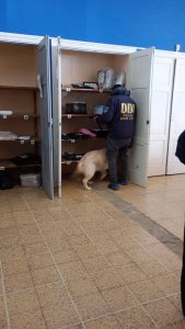 Santa Cruz refuerza la seguridad: más de 21.500 vehículos controlados y millonarias incautaciones en el primer trimestre 2026