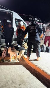 Santa Cruz refuerza la seguridad: más de 21.500 vehículos controlados y millonarias incautaciones en el primer trimestre 2026