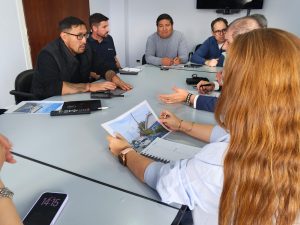 Limpieza del tendido aéreo: diputados analizan un proyecto de ley y SPSE articula acciones con empresas