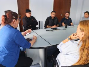 Limpieza del tendido aéreo: diputados analizan un proyecto de ley y SPSE articula acciones con empresas