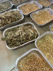 Santa  Cruz impulsa el maíz como nueva oportunidad productiva  en el campo