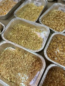 Santa  Cruz impulsa el maíz como nueva oportunidad productiva  en el campo