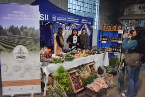 Se realizó en Río Gallegos jornada sobre carne de guanaco para promover producción, empleo y agregado de valor en Santa Cruz
